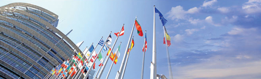 International co-operation 