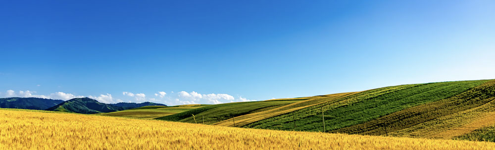 The Ecological and Agricultural Meteorological Test Station of Gucheng