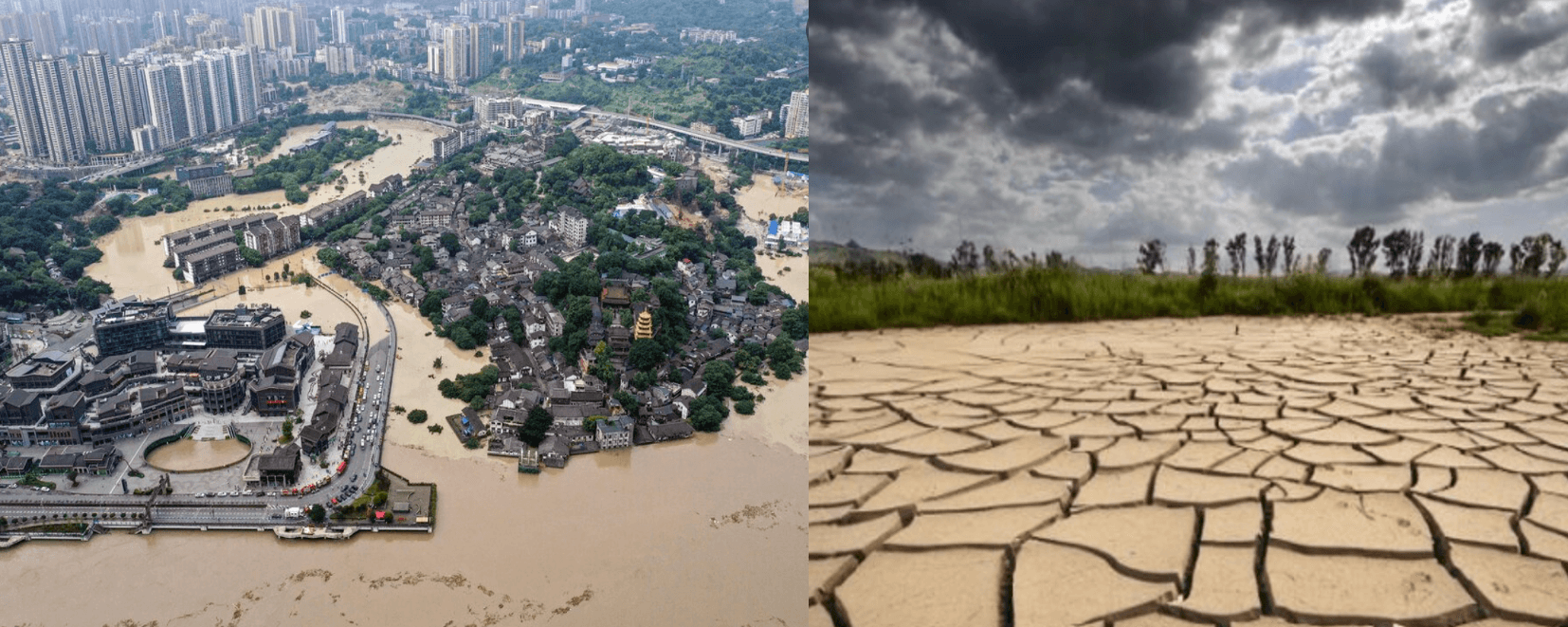 成果发布	|《自然-通讯》：气科院任宏利研究员团队在东亚汛期降水时空演变预测研究中取得重要进展