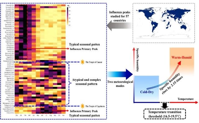 成果发布|季节性流感预测研究取得突破性进展