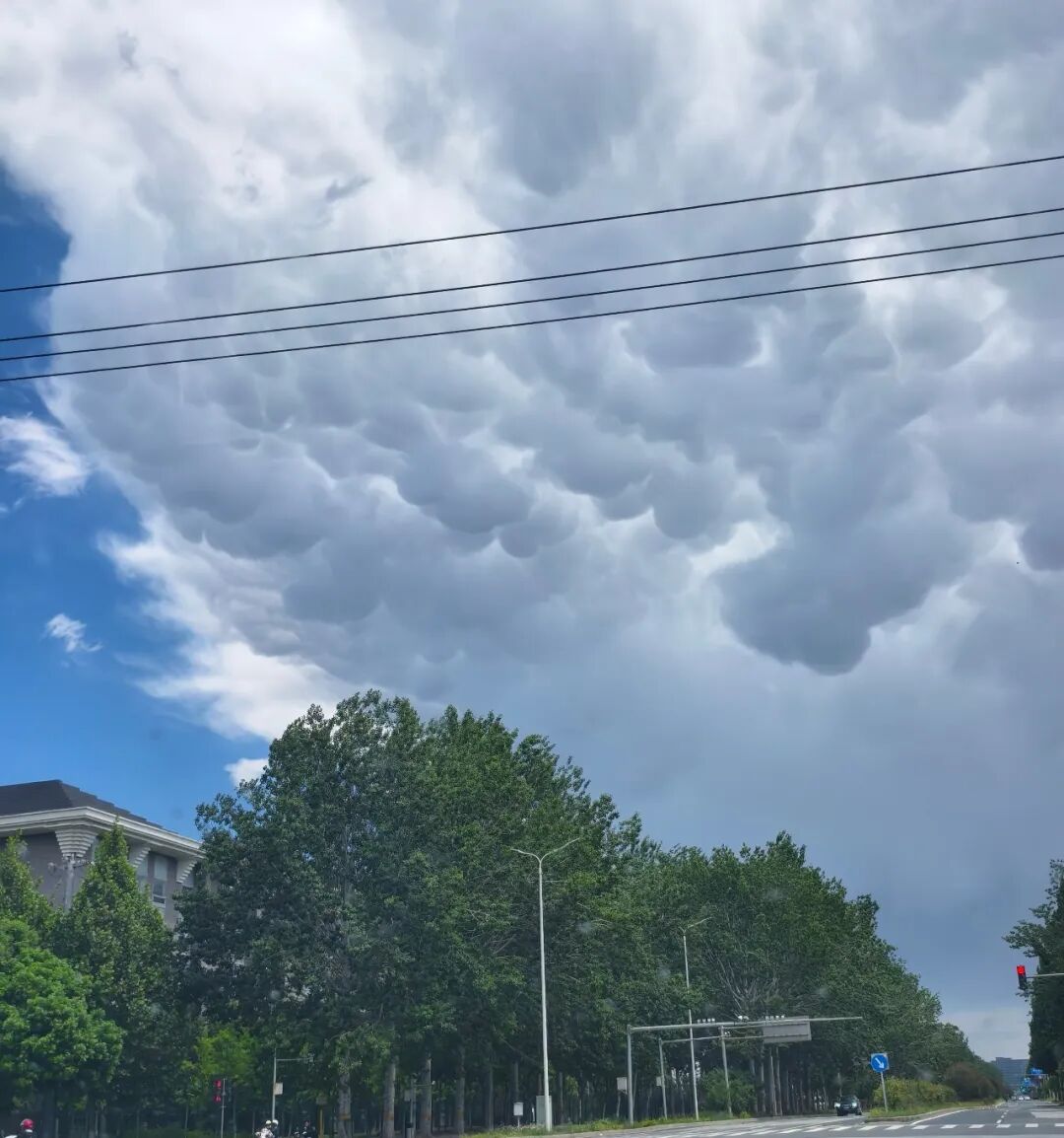 科普解读 | 乳状云是特大暴雨前兆吗? 科普解读 | 乳状云是特大暴雨前兆吗?